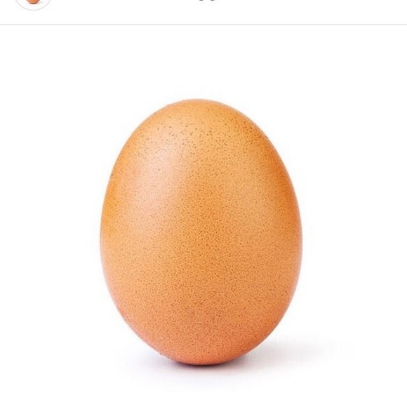 Meet your Posher, Tibebu - Picture 1 of 1